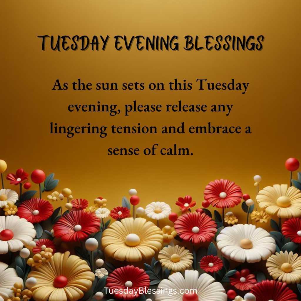 As the sun sets on this Tuesday evening, please release any lingering tension and embrace a sense of calm.