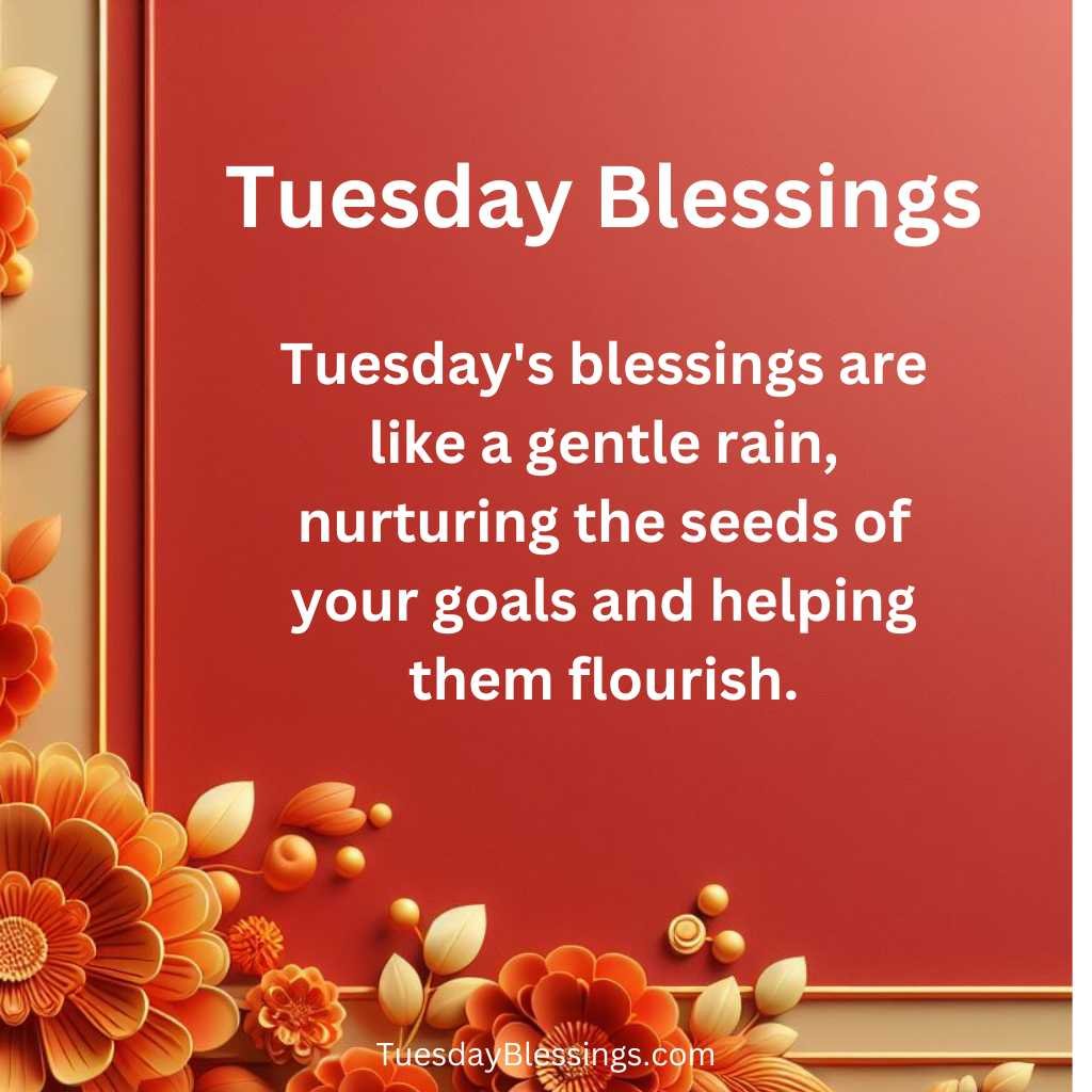 Tuesday's blessings are like a gentle rain, nurturing the seeds of your goals and helping them flourish.