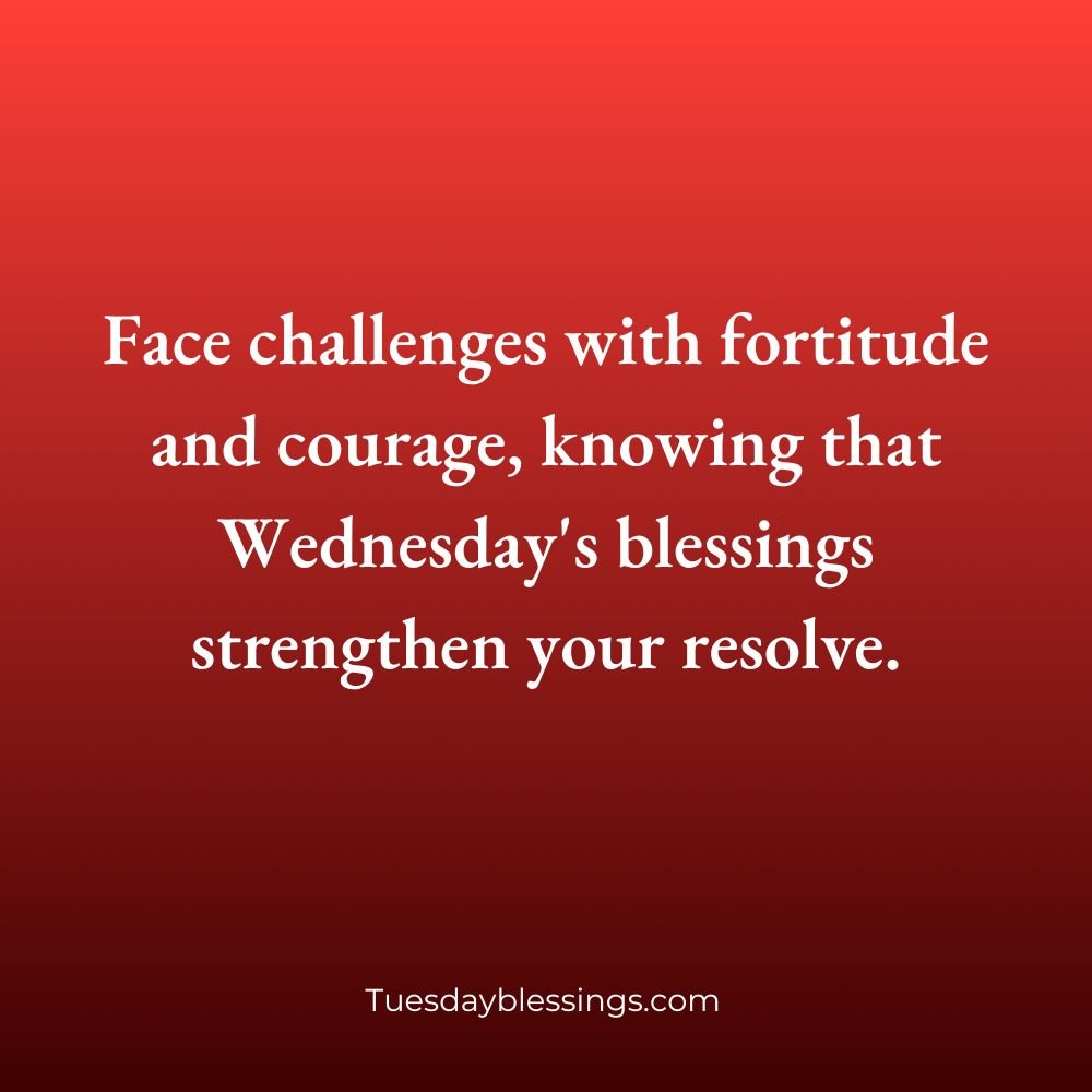 Wednesday Blessings