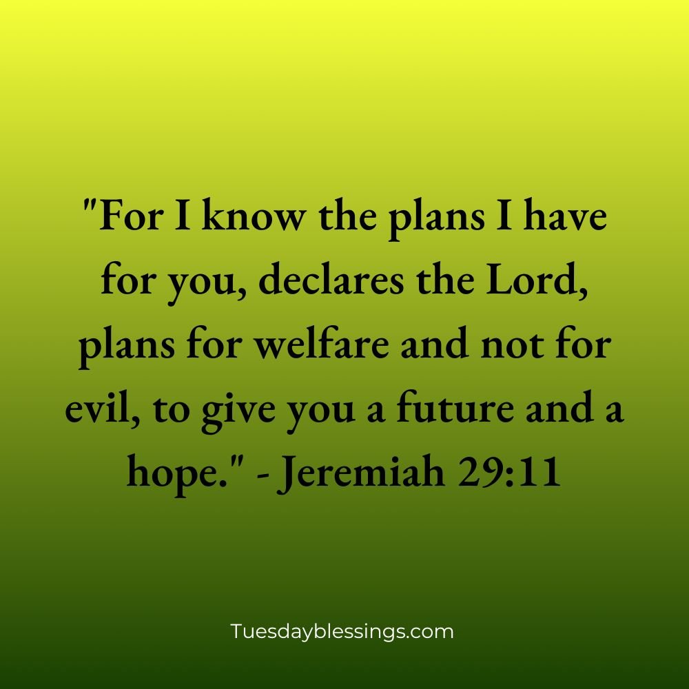 Thursday Morning Scripture Blessings