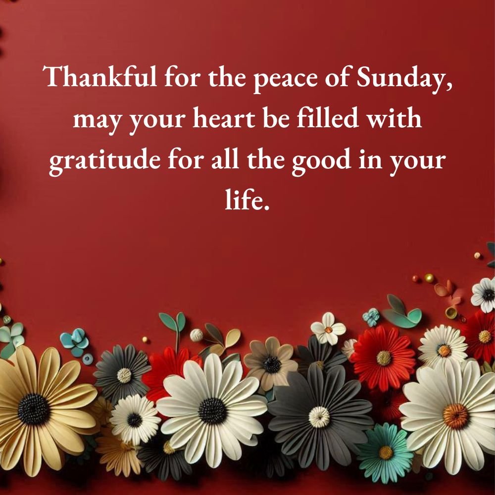 Thankful Sunday Blessings