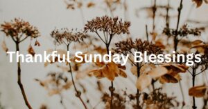 Thankful Sunday Blessings