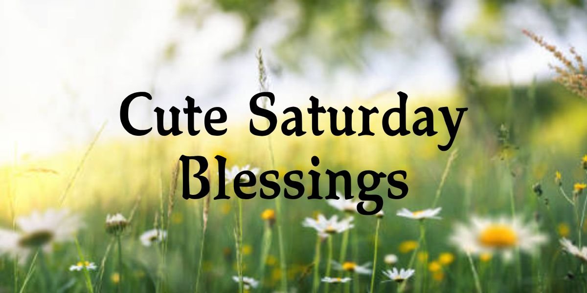 185+ Beautiful Cute Saturday Blessings, Images & Quotes