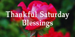 Thankful Saturday Blessings
