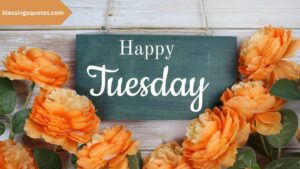 Happy Tuesday