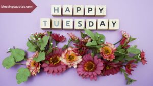Happy Tuesday