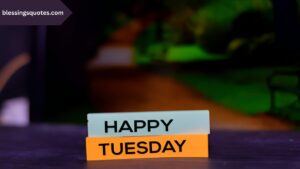Happy Tuesday