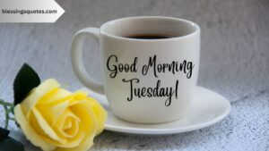 Happy Tuesday