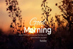 Sunday Morning Quotes