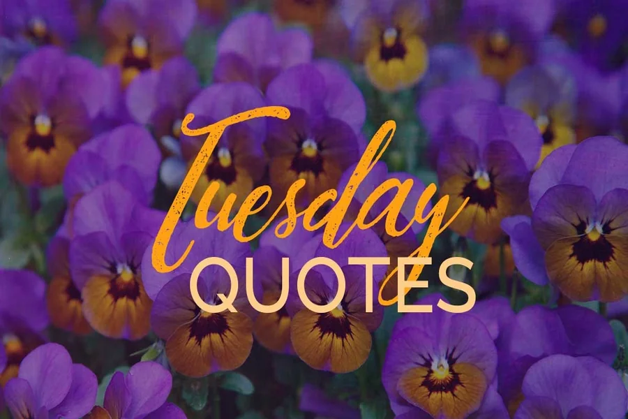 tuesday inspirational quotes