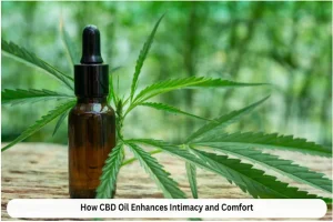CBD Oil